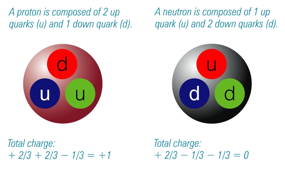 Proton neutron